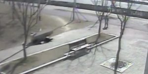 Απίστευτο βίντεο - Γυναίκα περπατά αμέριμνη όταν της... έρχεται ο ουρανός στο κε
