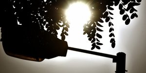 Φωτογραφία: Τατιάνα Μπόλαρη/Eurokinissi