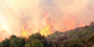 Φωτογραφία: Eurokinissi