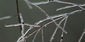 Φωτογραφία: EUROKINISSI/ΘΑΝΑΣΗΣ ΚΑΛΛΙΑΡΑΣ