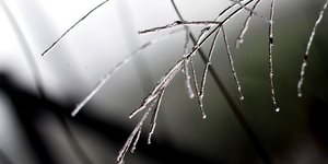 ΦΩΤΟΓΡΑΦΙΑ: EUROKINISSI