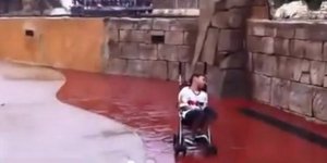 βίντεο