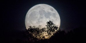 Αυγουστιάτικη πανσέληνος (Φωτογραφία: Eurokinissi/ΚΟΝΤΑΡΙΝΗΣ ΓΙΩΡΓΟΣ)