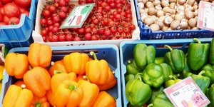 Δεν πληρούσαν τις απαιτήσεις των διατάξεων της ενωσιακής και εθνικής νομοθεσίας