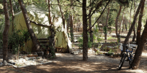 Αντρο ναρκομανών στην πανεπιστημιούπολη: Τι καταγγέλλουν οι εργαζόμενοι