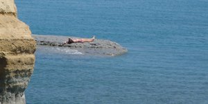 Φωτογραφία: Intime News