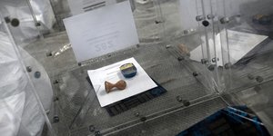 Φωτογραφία: Konstantinos Tsakalidis / SOOC