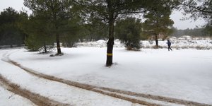 Φωτογραφία: EUROKINISSI/ΣΤΕΛΙΟΣ ΜΙΣΙΝΑΣ