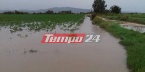 Φωτογραφία: Tempo24