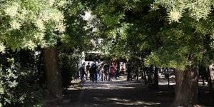 Από επιχείρηση εκκαθάρισης τοξικομανών από την ΕΛ.ΑΣ στο Πεδίο του Αρεως-Φωτογραφία: Intimenews/Παναγιώτης Τζάμαρος