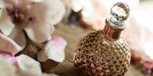 Αρωμα. Φωτογραφία: Shutterstock/NIKITA TV