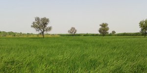 Birdwatching και παιχνίδι ευαισθητοποίησης για το περιβάλλον στην Πιερία