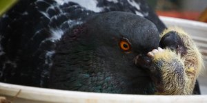 Βρίσκοντας εκεί τα μικρά ασφάλεια και ησυχία