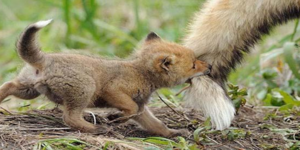 Τα καλύτερα μωρά ποζάρουν στο φακό και σας αφήνουν άφωνους [εικόνες]