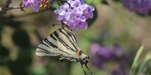 EUROKINISSI-ΠΑΠΑΔΟΠΟΥΛΟΣ ΒΑΣΙΛΗΣ