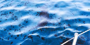 Φωτογραφία: SOOC