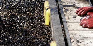 Το Ταμείο θα αποζημιώσει όλους όσους επλήγησαν από την οικολογική καταστροφή  (EUROKINISSI/ΓΙΩΡΓΟΣ ΚΟΝΤΑΡΙΝΗΣ)