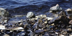 Mεγάλη οικολογική καταστροφή και στον Πειραιά / Φωτογραφία αρχείου: Εurokinissi / ΚΟΝΤΑΡΙΝΗΣ ΓΙΩΡΓΟΣ