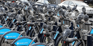 Γιατί τα... περιστέρια εμποδίζουν τους Λονδρέζους να κάνουν ποδήλατο [εικόνες]