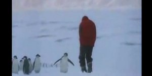 Πιγκουίνος πρωταθλητής του πιγκ- πονγκ [βίντεο]