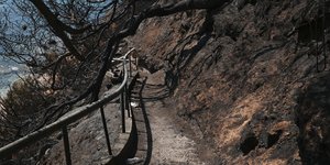 Η παραλία στο Μάτι/ Φωτογραφία: George Vitsaras / SOOC