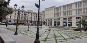 Φοίνικες