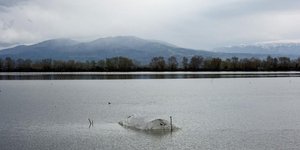 ΦΩΤΟΓΡΑΦΙΑ: SOOC