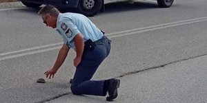 Αστυνομικός βοηθά χελωνάκι/ Φωτογραφία:kozanilife.gr