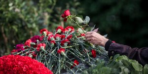 Τριαντάφυλλο/ Φωτογραφία: Eurokinissi- ΣΤΕΛΙΟΣ ΜΙΣΙΝΑΣ