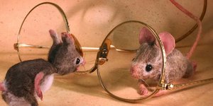 Mouses Houses Tρωκτικά σε έναν όμορφο ανθρώπινο κόσμο