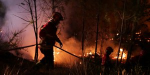 ΦΩΤΟΓΡΑΦΙΕΣ: ΑΡ