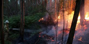 Φωτογραφία: AP