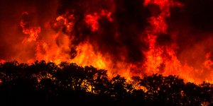 Οι υψηλές θερμοκρασίες φουντώνουν τις πυρκαγιές στα νότια και κεντρικά της Πορτογαλίας (Φωτογραφίες: ΑΡ) 