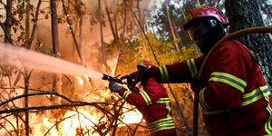 Φωτογραφία: EPA/Nuno Andre Ferreira