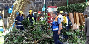 Δέντρο καταπλάκωσε πιστούς -Τουλάχιστον 11 νεκροί και 35 τραυματίες/ Φωτογραφία: Twitter