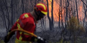 ΦΩΤΟΓΡΑΦΙΑ: AP