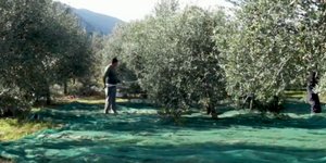 Στιγμιότυπο από το βίντεο που αναρτήθηκε στην ιστοσελίδα του πρωθυπουργού