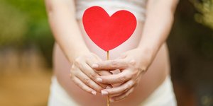 φωτογραφία: pixabay.com
