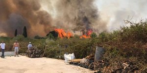 Yπό μερικό έλεγχο τέθηκε η πυρκαγιά/ Φωτογραφία: facebook