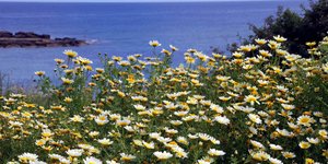 (Φωτογραφία: Eurokinissi/ΠΑΝΑΓΟΠΟΥΛΟΣ ΓΙΑΝΝΗΣ)