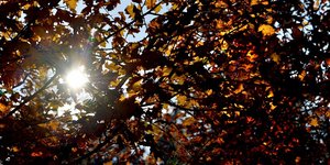 Ο Νοέμβρης μπαίνει με καλό καιρό/Φωτογραφία Max Pixel