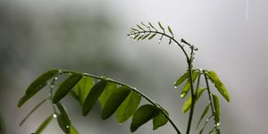 Φωτογραφία: IntimeNews