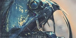 Πλάσματα στην Αρκτική/ Φωτογραφία: Instagram