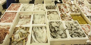 80 κιλά ψάρια κατασχέθηκαν στη Ν. Μηχανιώνα (Φωτογραφία αρχείου: EUROKINISSI/ ΧΡΗΣΤΟΣ ΜΠΟΝΗΣ)