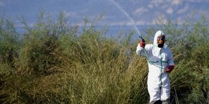 ψεκασμοί/Φωτογραφία: Eurokinissi