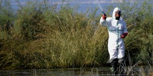 ψεκασμοί/Φωτογραφία: Eurokinissi/ΒΑΣΙΛΗΣ ΠΑΠΑΔΟΠΟΥΛΟΣ
