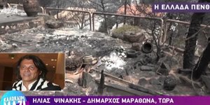 Ο Ηλίας Ψινάκης μιλά για την πυρκαγιά σε Μάτι και Νέο Βουτζά