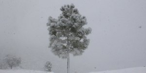 ΦΩΤΟΓΡΑΦΙΑ: EUROKINISSI