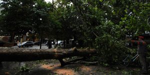 Πτώση δέντρου (Φωτογραφία αρχείου: EUROKINISSI/ΘΑΝΑΣΗΣ ΚΑΛΛΙΑΡΑΣ)