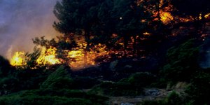 Φωτογραφία: Eurokinissi